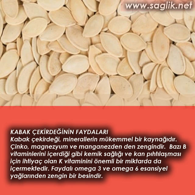 KABAK ÇEKİRDEĞİNİN FAYDALARI Kabak çekirdeği, minerallerin mükemmel bir kaynağıdır. Çinko, magnezyum ve manganezden den zengindir. Bazı B vitaminlerini içerdiği gibi kemik sağlığı ve kan pıhtılaşması için ihtiyaç olan K vitaminini önemli bir miktarda da içermektedir. Faydalı omega 3 ve omega 6 esansiyel yağlarınden zengin bir besindir.