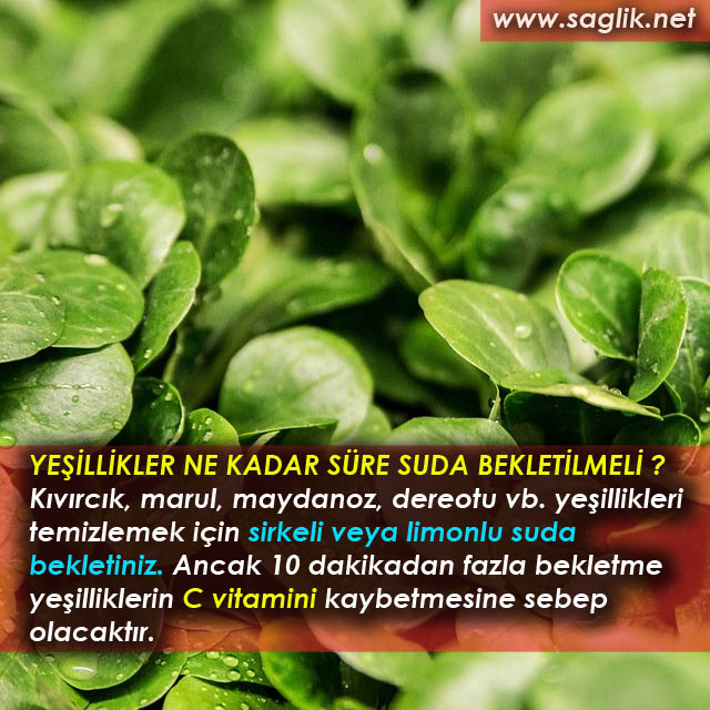 SALATA MALZEMESİ NE KADAR SÜRE SUDA BEKLETİLMELİ ? Kıvırcık, marul, maydanoz, dereotu vb. yeşillikleri temizlemek sirkeli veya limonlu suda bekletiniz. Ancak 10 dakikadan fazla bekletme yeşilliklerin C vitamini kaybetmesine sebep olacaktır. 