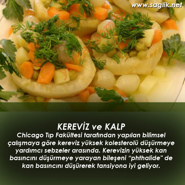 KEREVİZ ve KALP Chicago Tıp Fakültesi tarafından yapılan bilimsel çalışmaya göre kereviz yüksek kolesterolü düşürmeye yardımcı sebzeler arasında. Kerevizin yüksek kan basıncını düşürmeye yarayan bileşeni “phthalide" de kan basıncını düşürerek tansiyona iyi geliyor.