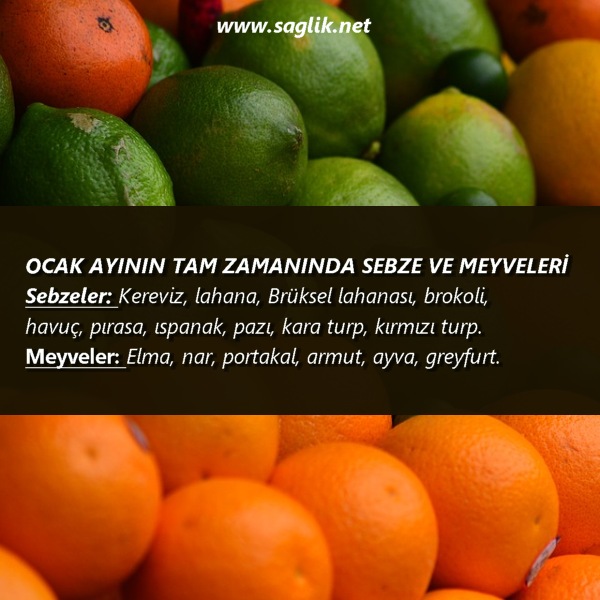 OCAK AYININ TAM ZANANINDA SEBZE VE MEYVELERİ Sebzeler: Kereviz, lahana, Brüksel lahanası, brokoli, havuç, pırasa, ıspanak, pazı, kara turp, kırmızı turp. Meyveler: Elma, nar, portakal, armut, ayva, greyfurt. 